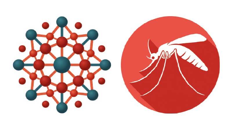 হামের উপসর্গে ৮ শিশু ও ডেঙ্গুতে আরো ৬ মৃত্যু