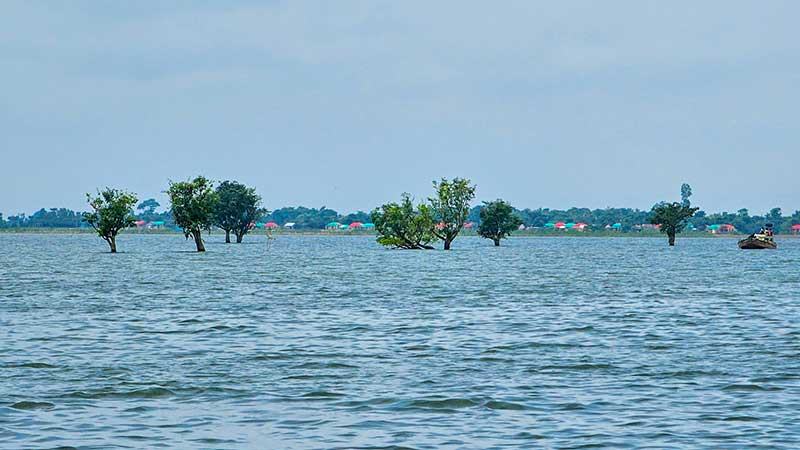 টাঙ্গুয়ার হাওরের পানিতে বিপজ্জনক মাত্রার ভারী ধাতু