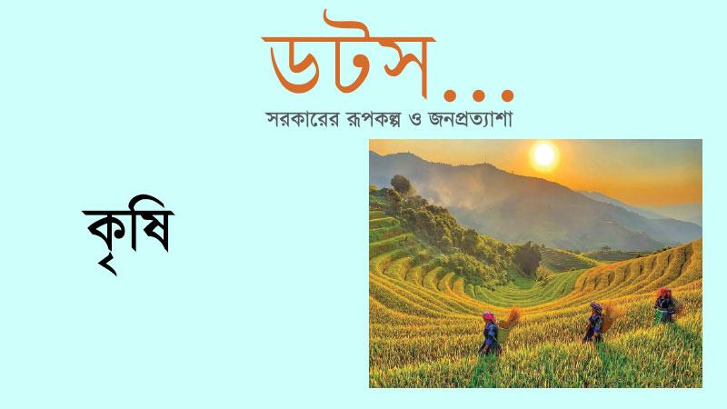 ‘দয় ময়’ থেকে ‘কিচেন অব দ্য ওয়ার্ল্ড’