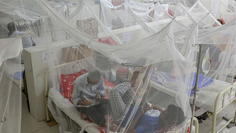 ডেঙ্গুতে ২৪ ঘণ্টায় ৮ জনের মৃত্যু