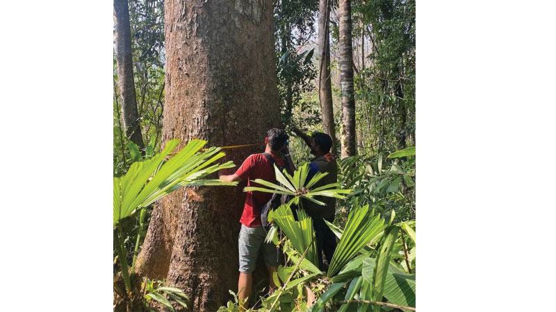 জনবল সংকটের মধ্যেই সাঙ্গু সংরক্ষিত বনে স্থাপন হচ্ছে চার বিট অফিস