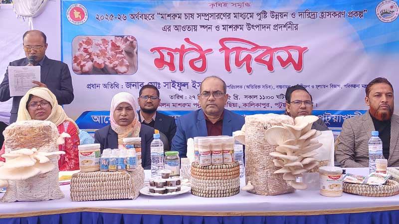 পটুয়াখালীতে মাশরুম উৎপাদন বাড়াতে মাঠ দিবস