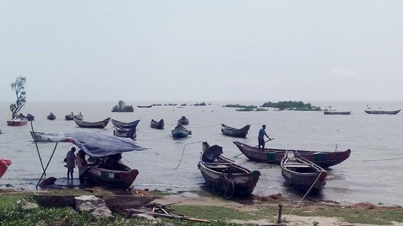 মিরসরাইয়ে বেড়েছে ইলিশ আহরণ