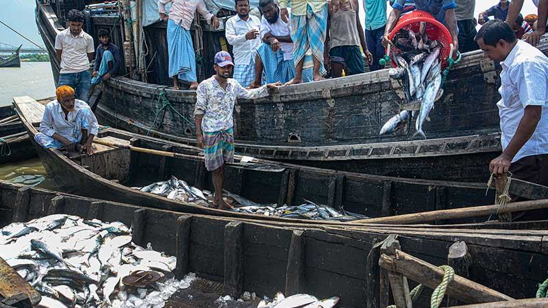 চট্টগ্রামে গভীর সাগরে কমছে মাছ আহরণ, সংকটে বাণিজ্যিক জাহাজগুলো