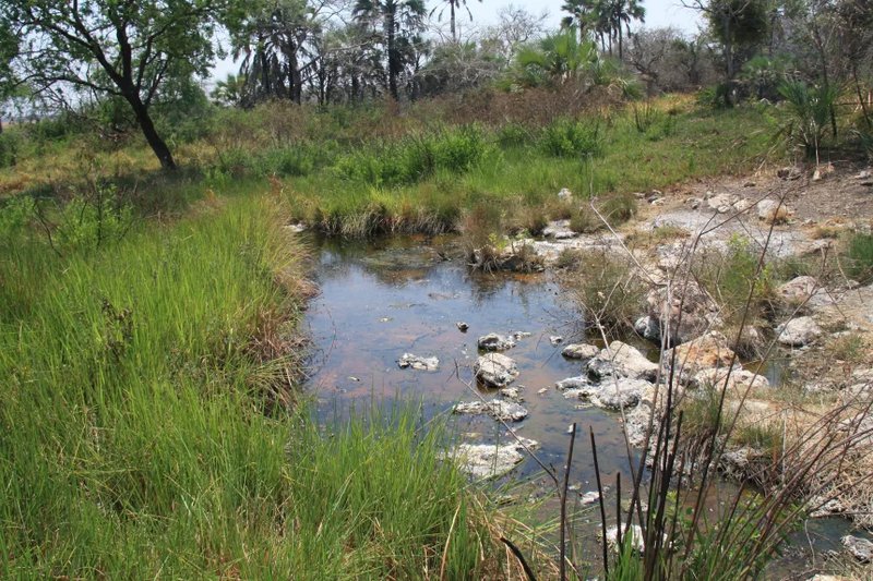 ৫২৩৪৫৬৩৪৬৩