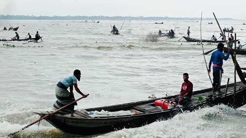 নিষেধাজ্ঞার মাঝেও বরিশালের নদ-নদীতে ইলিশ শিকার