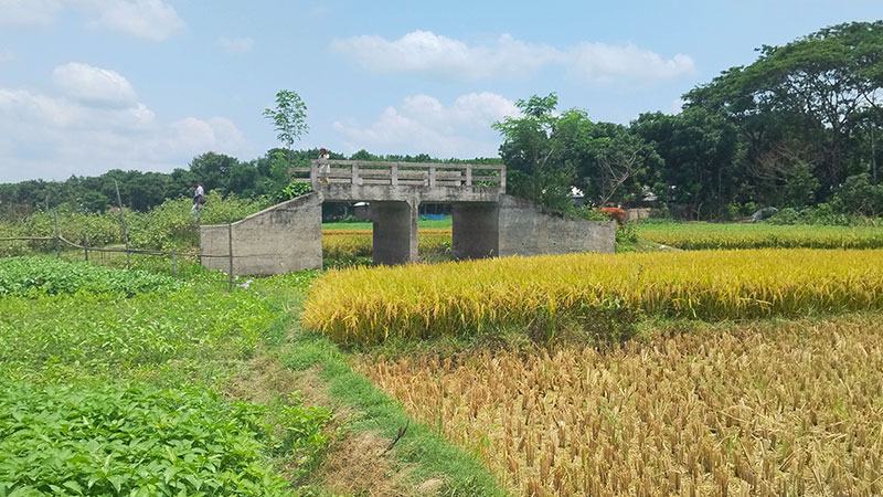 এক দশক ধরে বিলের মাঝে দাঁড়িয়ে আছে সেতু