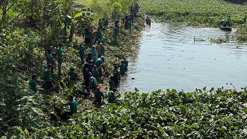 নওগাঁয় তুলসীগঙ্গায় প্রাণ ফেরাতে কচুরিপানা পরিষ্কার