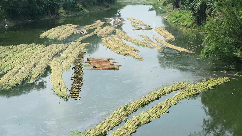 খাল খননে কমেছে পরিবহন ব্যয়
