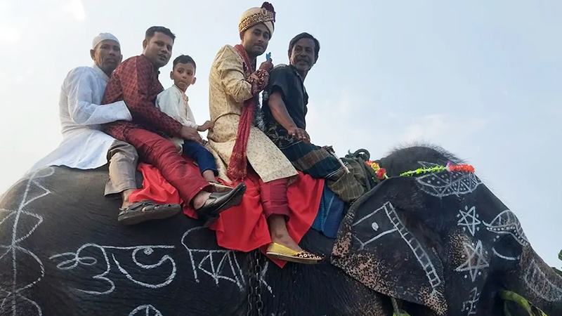 হাতির পিঠে বর