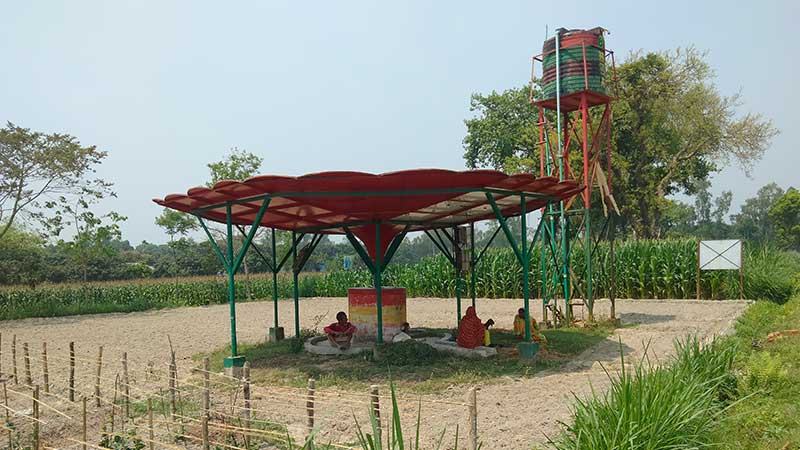 রংপুরে সেচ মৌসুমে সাশ্রয় হয় প্রায় ৭৫ লাখ লিটার ডিজেল