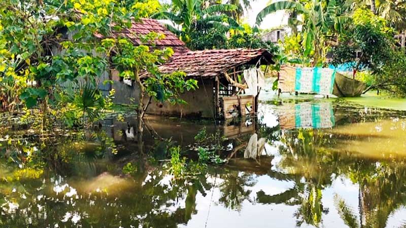 যশোরে দেড় মাস ধরে পানিবন্দি সীমান্তবর্তী ২ হাজার পরিবার