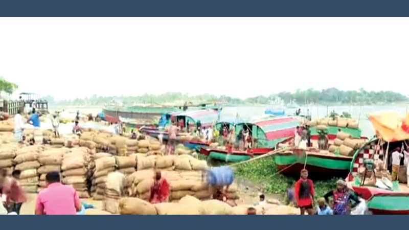 নতুন ধানে জমজমাট আশুগঞ্জ মোকাম