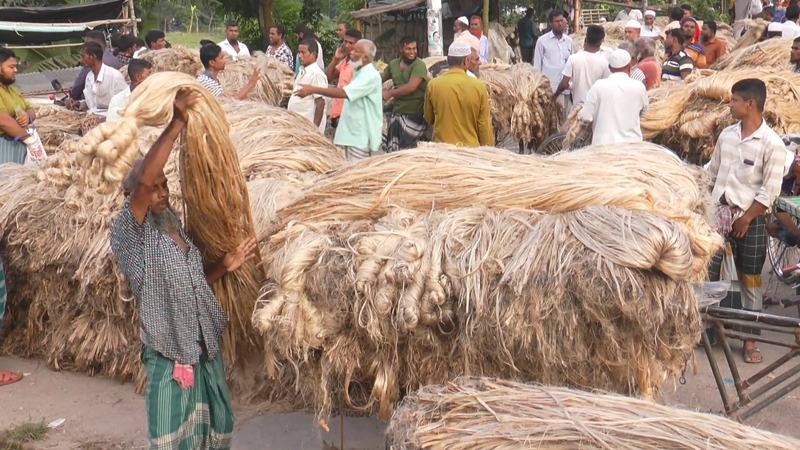 মানসম্মত আঁশে মিলছে বাড়তি দাম