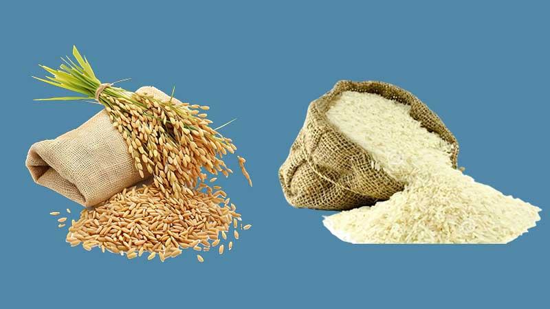 টানা ব্যর্থতার পর চলতি মৌসুমে ধান-চাল ক্রয়ে লক্ষ্যমাত্রা অর্জন