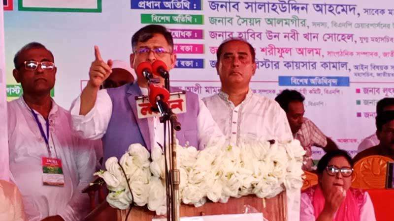 সংবিধানে পিআর নামে কোনো শব্দ নেই —সালাহউদ্দিন আহমদ