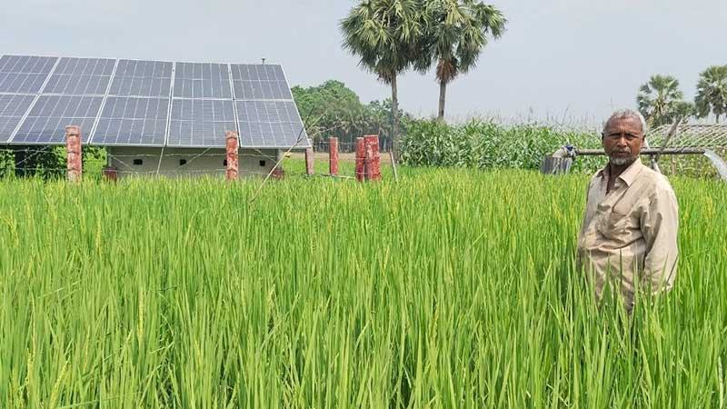 নড়াইলে সেচ পাম্পে প্রতিদিন উত্তোলন ১২ লাখ লিটার পানি