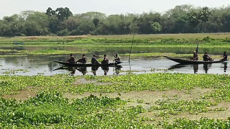 ১৪২ কিলোমিটার যশোর সীমান্তে নেই কাঁটাতারের বেষ্টনী