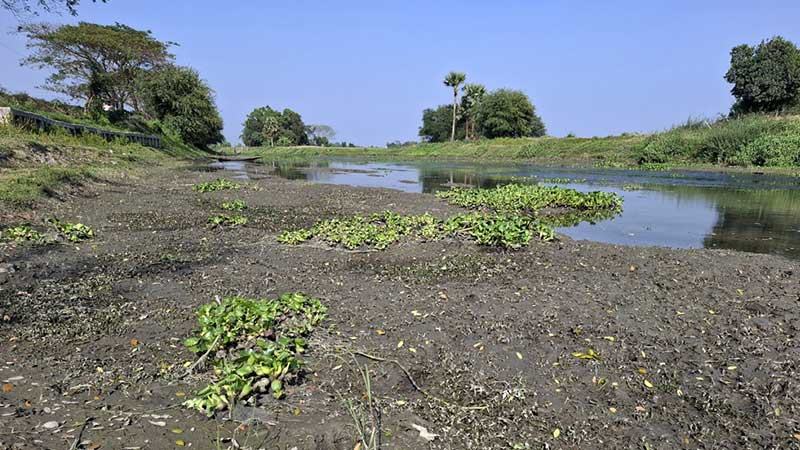 গোপালগঞ্জে অস্তিত্ব সংকটে বলুগা খাল, ব্যাহত হচ্ছে সেচকাজ