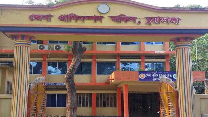 চুয়াডাঙ্গা প্রাণিসম্পদ দপ্তরের ৫৭ পদের ২৯টিই খালি