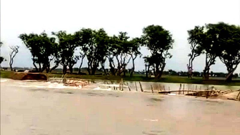 টাঙ্গুয়ার হাওরে বাঁধ ভেঙে প্রবেশ করছে পানি