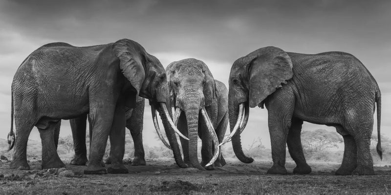 6-oneton-chyulu-hills-2009-photo-federico-veronesi