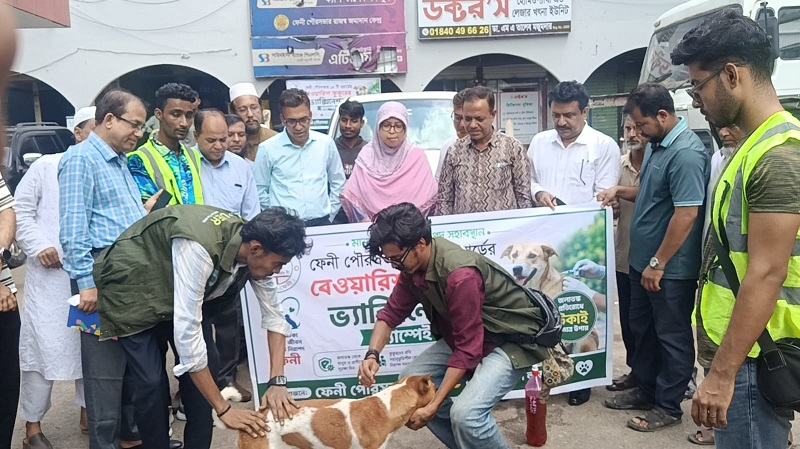 ফেনীতে জলাতঙ্ক প্রতিরোধে পথকুকুরকে টিকাদান শুরু