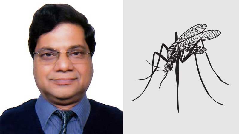 বর্ষায় ডেঙ্গুর ঝুঁকি