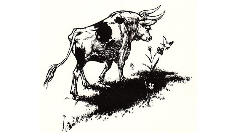 খবরের শিরোনাম হয়েছিল যেসব গরু