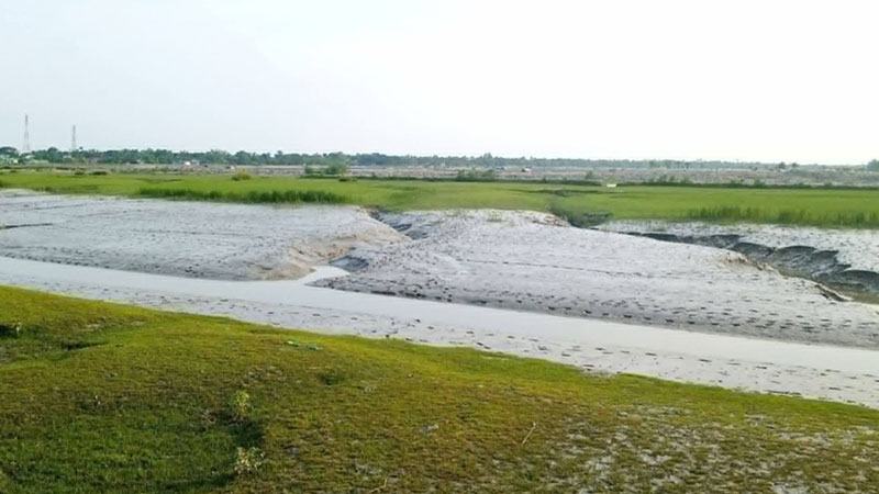 খননেও প্রাণ ফেরেনি, পলি জমে ভরাট হচ্ছে কপোতাক্ষ