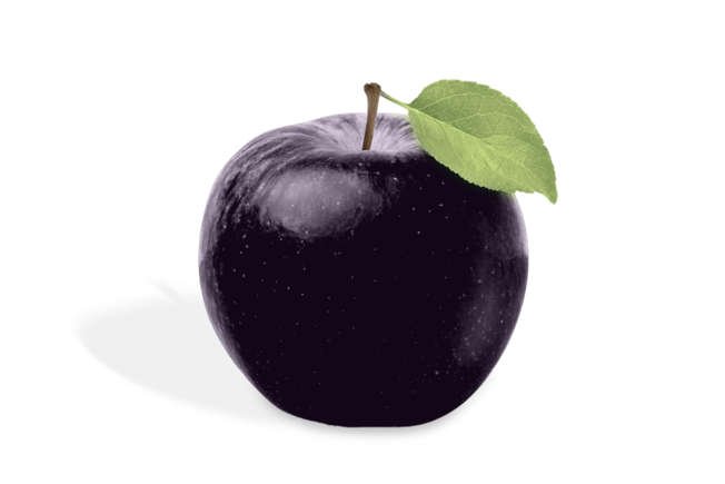 AA1Q8ba5