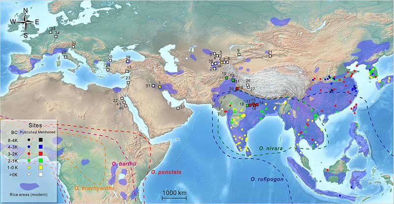 A_Journey_to_the_West_The_Ancient_Disper-(2)-6