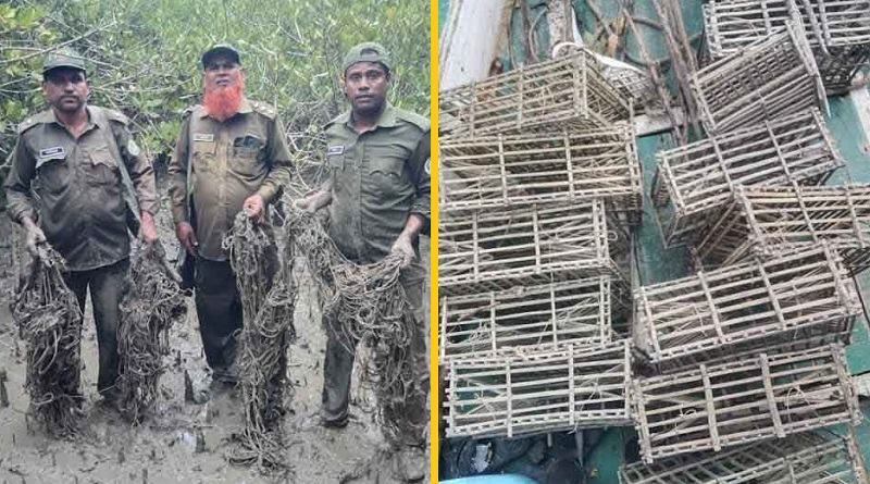 সুন্দরবন থেকে হরিণ শিকারের ৬০০ ফাঁদ জব্দ