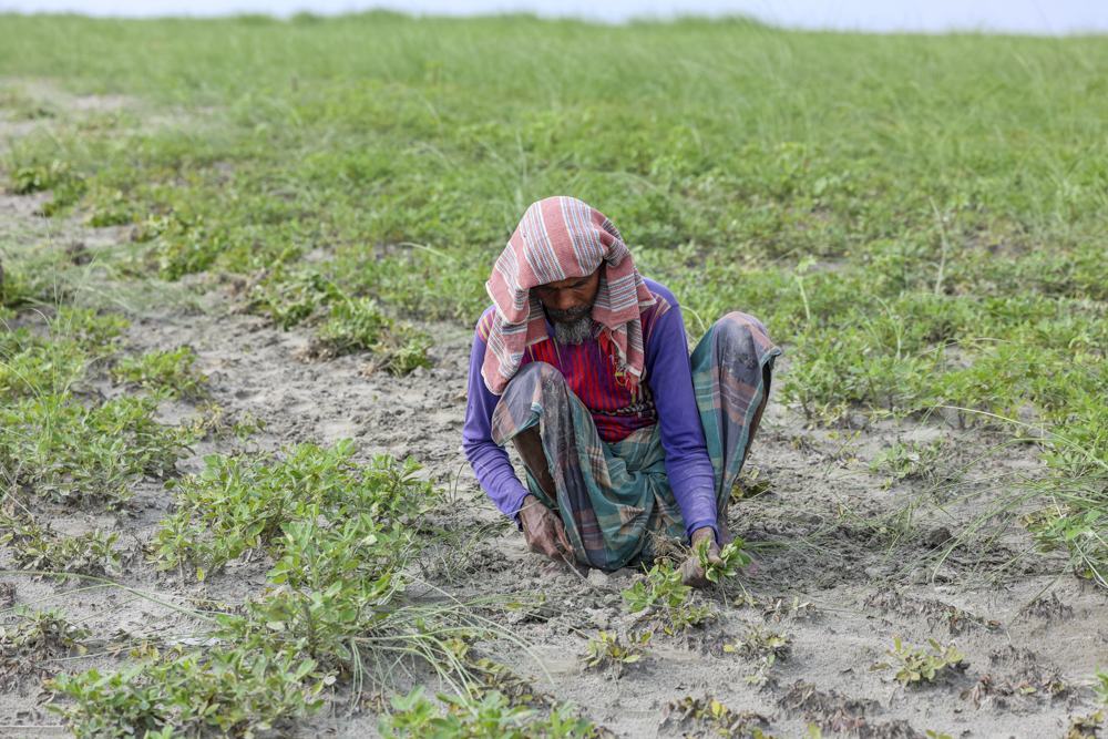 Char_Almond_Jamuna_River_30042026_011