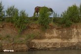 Char_Bathan_Jamuna_River_30042026_001