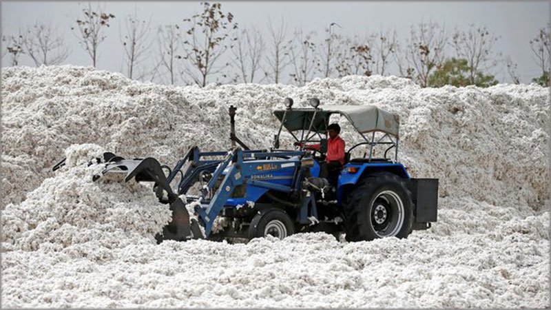 Cotton-procesing-Reuters