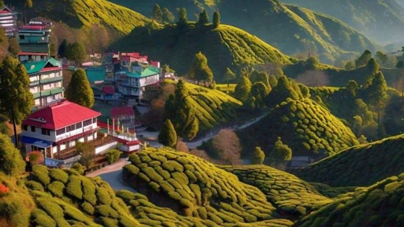 দার্জিলিং ভ্রমণের টুকিটাকি