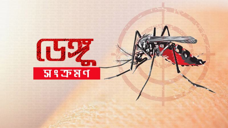ময়মনসিংহ নগরে বাড়ছে ডেঙ্গু রোগী, ১১ মাসে ১৪ জনের মৃত্যু