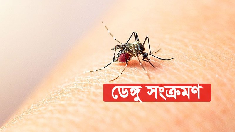 ডেঙ্গুতে ৩ জনের মৃত্যু, আক্রান্ত ৪৪৪