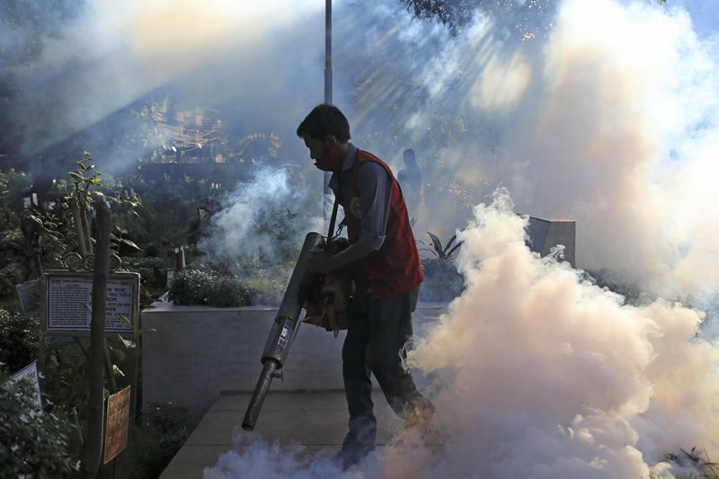 Dengue (2)