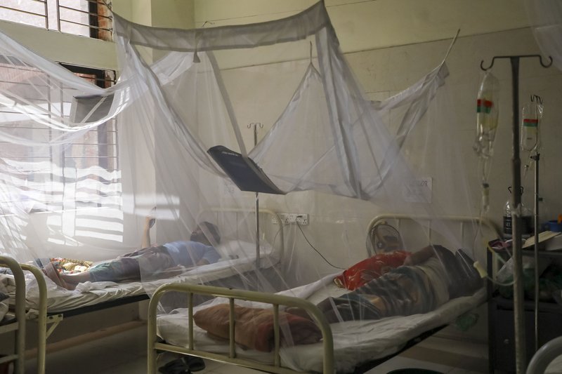 Dengue_Kazi Salahuddin Razu (2)