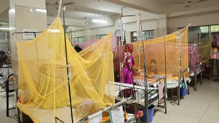 ডেঙ্গুতে একদিনে হাসপাতালে রেকর্ড ২২৪৯ ভর্তি, মৃত্যু ৭