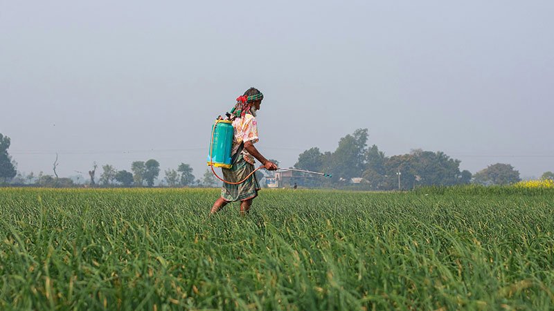Farmland Agriculture Bonik Barta