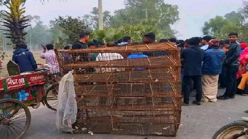 গাইবান্ধায় যাত্রীবাহী বাসের ধাক্কায় একজন নিহত