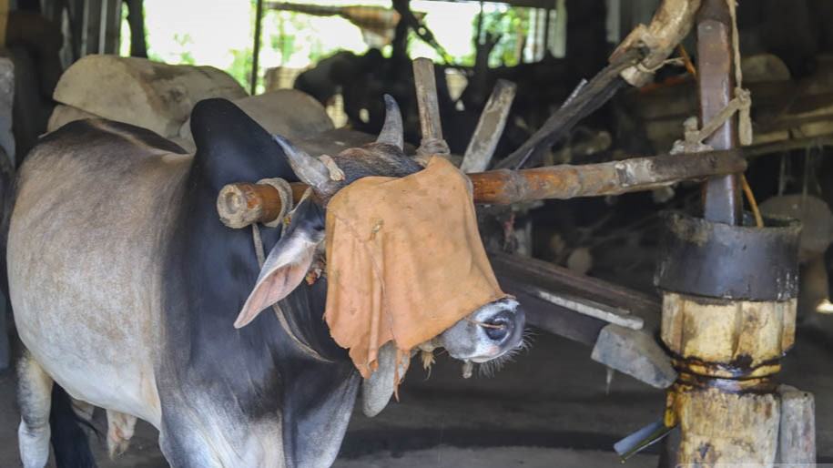 মৌর্য শাসন থেকে বর্তমান: বিলুপ্তপ্রায় আড়াই হাজার বছরের পুরনো পেশা