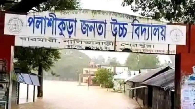 পলাশবাড়ী