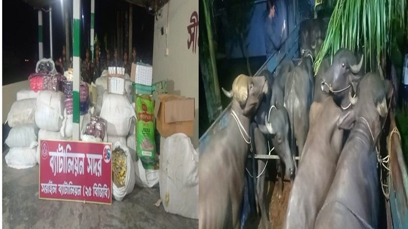 ব্রাহ্মণবাড়িয়ায় পৃথক অভিযানে ৪ কোটি টাকার চোরাই পণ্য জব্দ