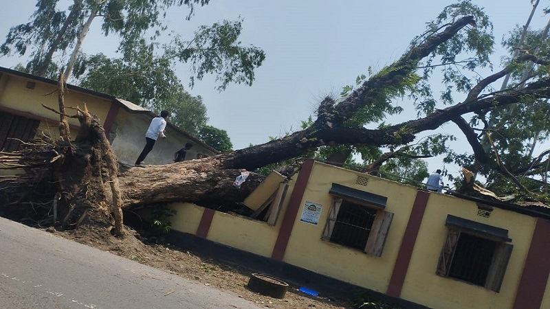 কালবৈশাখী ঝড় ও শিলাবৃষ্টিতে ফসলের ব্যাপক ক্ষয়ক্ষতি