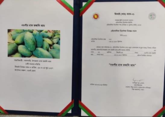 নাক ফজলি আম এখন নওগাঁর