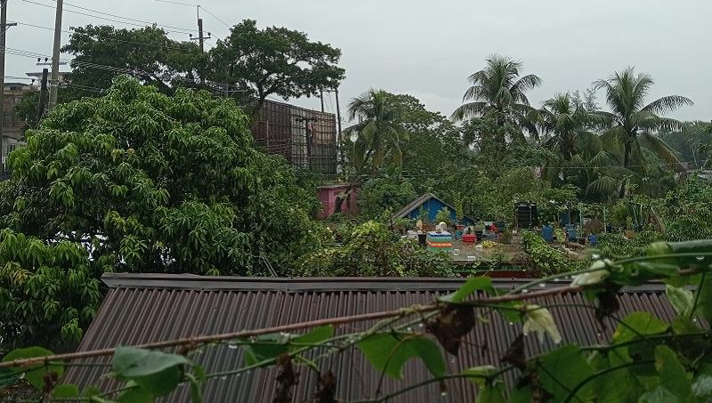 লক্ষ্মীপুরে ঘূর্ণিঝড় দানার প্রভাবে থেমে থেমে বৃষ্টি